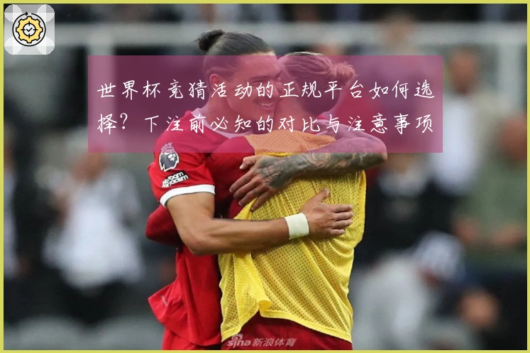 世界杯竞猜活动的正规平台如何选择?下注前必知的对比与注意事项