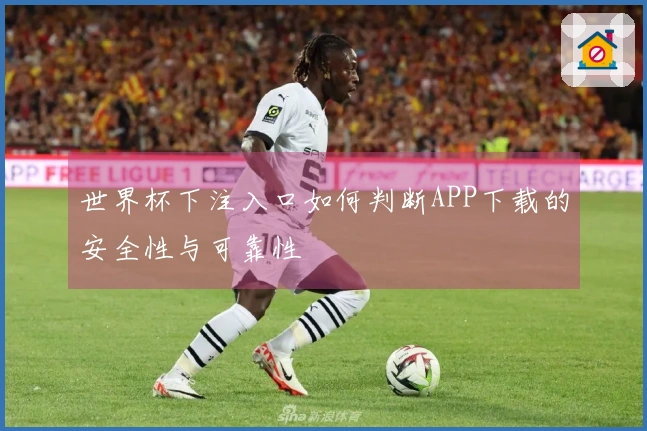 世界杯下注入口如何判断APP下载的安全性与可靠性