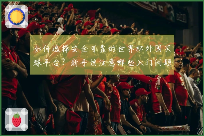 如何选择安全可靠的世界杯外围买球平台？新手该注意哪些入门问题