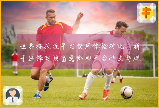 世界杯投注平台使用体验对比：新手选择时该留意哪些平台特点与规则